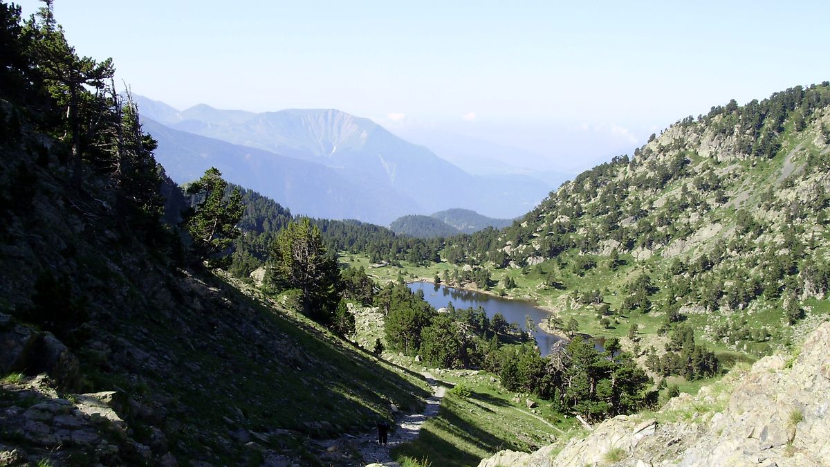 Le lac Achard entouré de pins, près de Chamrousse