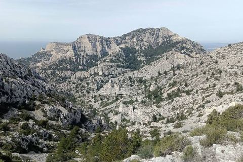 Le massif de Marseilleveyre vu depuis le plateau de l'Homme Mort