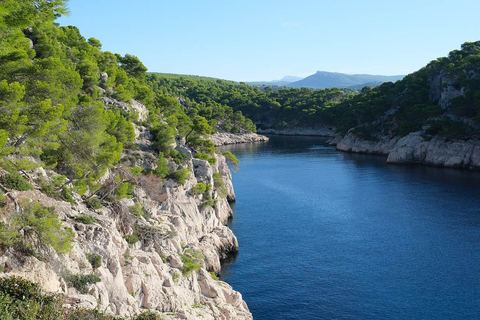 La calanque de Port-Pin bordée de pins entre ses falaises