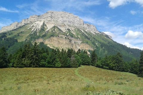 Chamechaude vu depuis les alpages des Émeindras en été, avec le sentier dans l'herbe