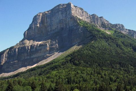 La face nord du mont Granier et son éboulis, au-dessus de la forêt
