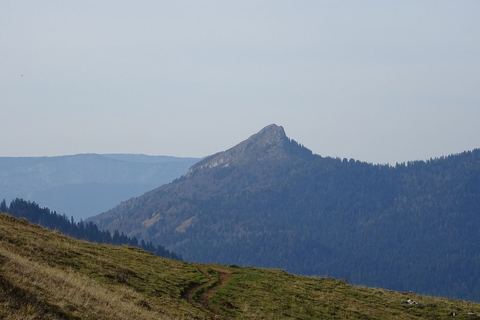 La Pinéa, pyramide boisée de Chartreuse, vue depuis Pravouta