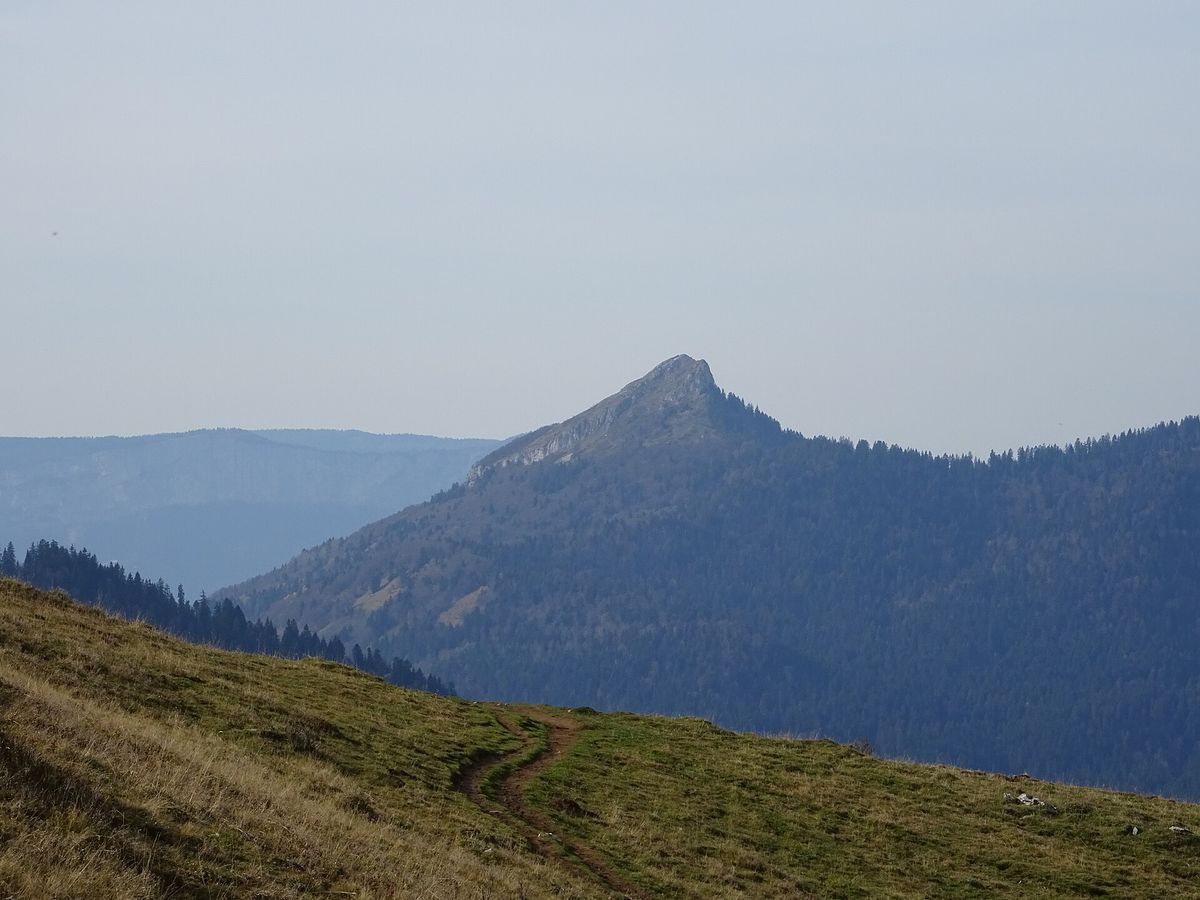 La Pinéa, pyramide boisée de Chartreuse, vue depuis Pravouta