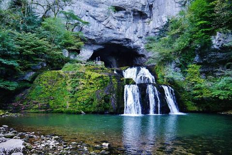 La source du Lison jaillissant de sa grotte au-dessus d'une vasque verte
