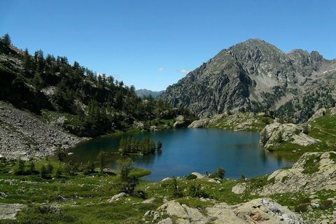 Le lac de Trécolpas et son îlot de mélèzes, sous le mont Pélago