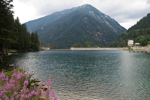 Le lac du Boréon et son barrage, entourés de forêt