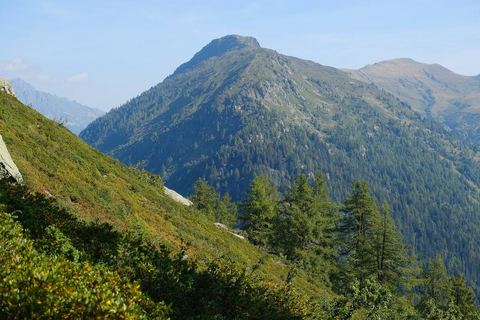 L'Aiguillette des Posettes et sa crête boisée
