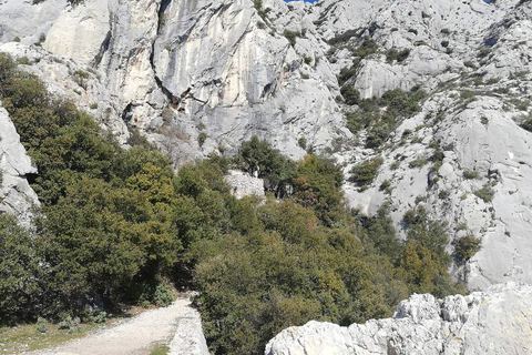 Les rochers de Sainte-Victoire au-dessus du sentier de l'ermitage Saint-Ser