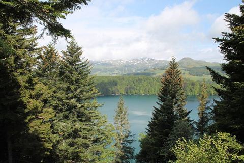 Le lac Pavin entre les sapins