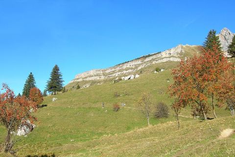 Prairie et barre rocheuse sur le chemin du Col Vert
