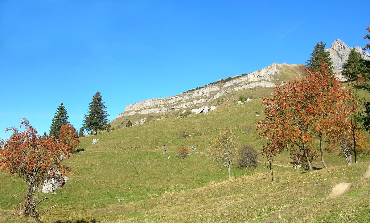 Prairie et barre rocheuse sur le chemin du Col Vert