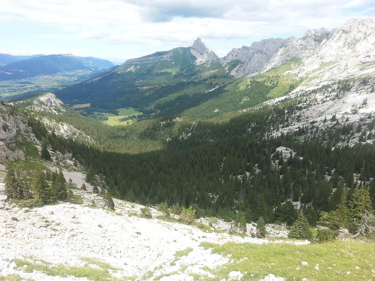 Le vallon de la Fauge vu d'en haut en été