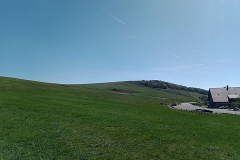 Le sommet du Ballon d'Alsace vu depuis le col