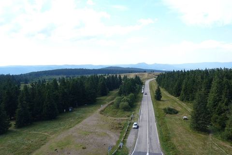 Le plateau du Champ du Feu vu depuis la tour, avec la route et les sapins