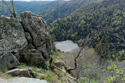 Le lac de Schiessrothried au fond de son cirque boisé, vu d'en haut