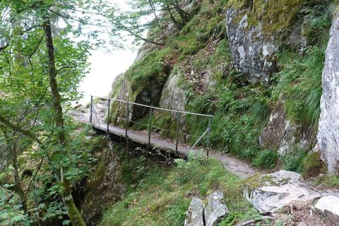Une passerelle métallique sur le sentier des Roches, dans les Vosges