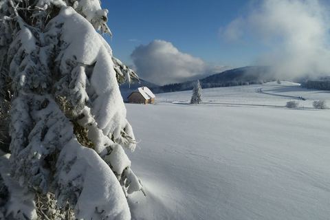 La chaume des Trois Fours enneigée, près du col de la Schlucht
